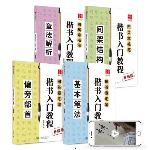 成人练字帖书写教程视频,成人练字帖高效书写技巧解析