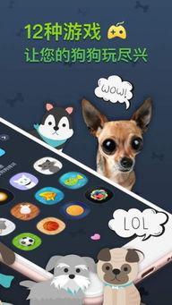 成人逗狗神器视频大全最新,盘点最新成人逗狗神器视频大全