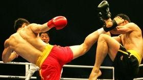 成人搏击勾拳教学视频